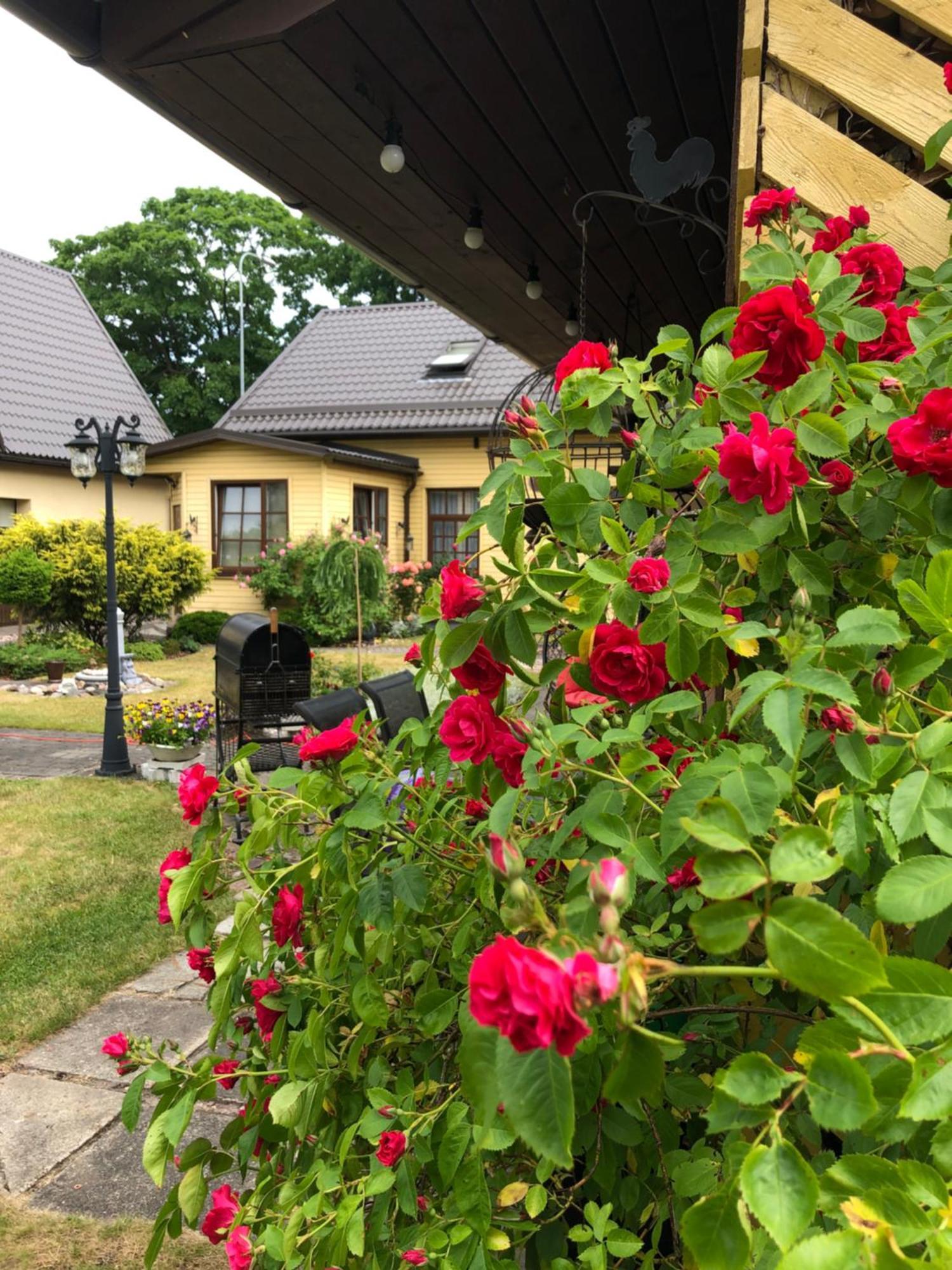 Anni Appartement Ventspils Buitenkant foto